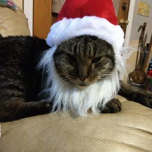 Meet your Posher, Pamela